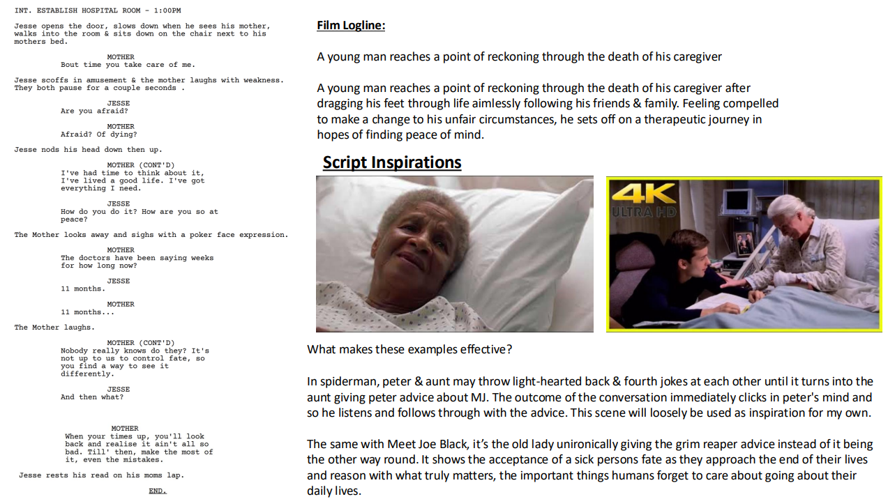 Script page, film logline and script inspirations for The Leap