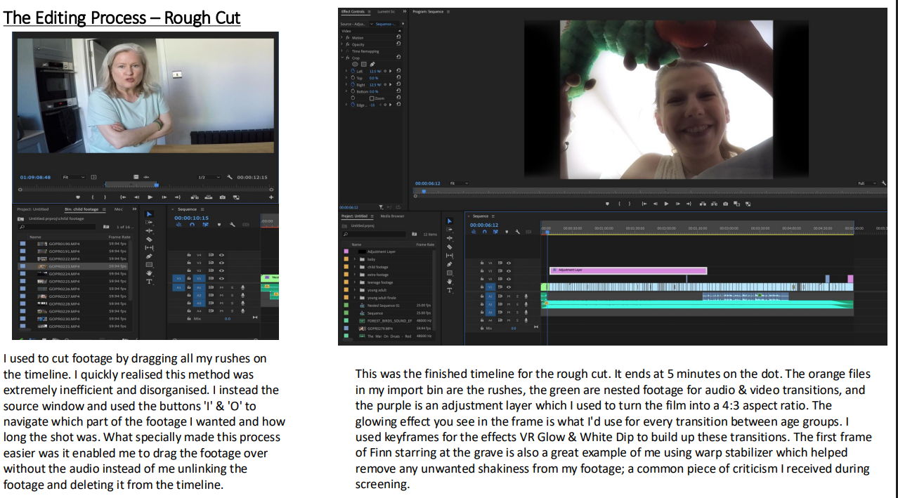 Premiere Pro rough cut timeline for The Leap